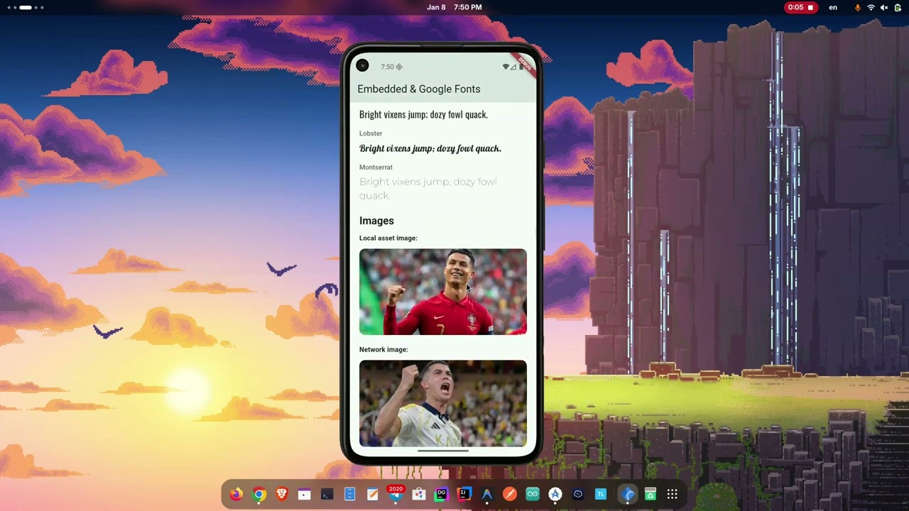 S2 - Lab 2 - Embedded Fonts and Used Image from Network
