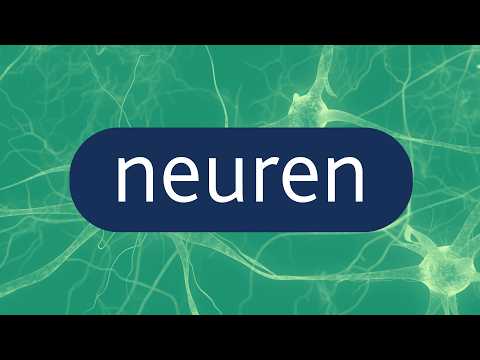 Stock of the day: Neuren Pharmaceuticals (NEU)