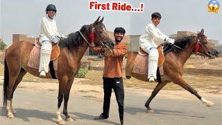 Female Horse 🐎's First Ride!😍 Arslan Took His First Ride on the Female Horse 😱 screenshot 1