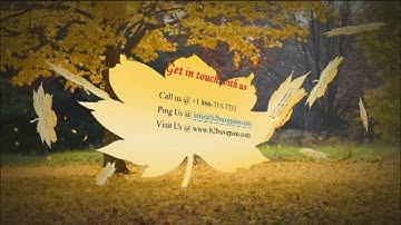 B2C Email Lists - B2C Mailing Lists - B2B Scorpion