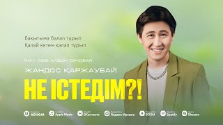 Жандос Қаржаубай - Не Істедім?!