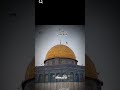 شكلكم نسيتوا فلسطين