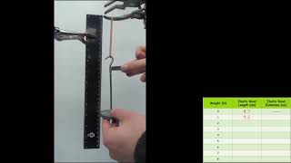 Physics RP6: Force and Extension