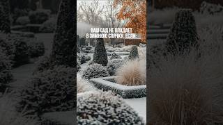 ❄️ Зимой сад кажется пустым и безжизненным, но это не так