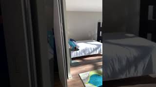 Studio Model 550 sq ft