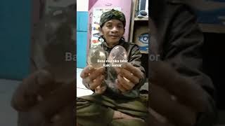 batu mustika telor ,kaki Semar bodronoyo batu mustika telor ,kaki Semar bodronoyo