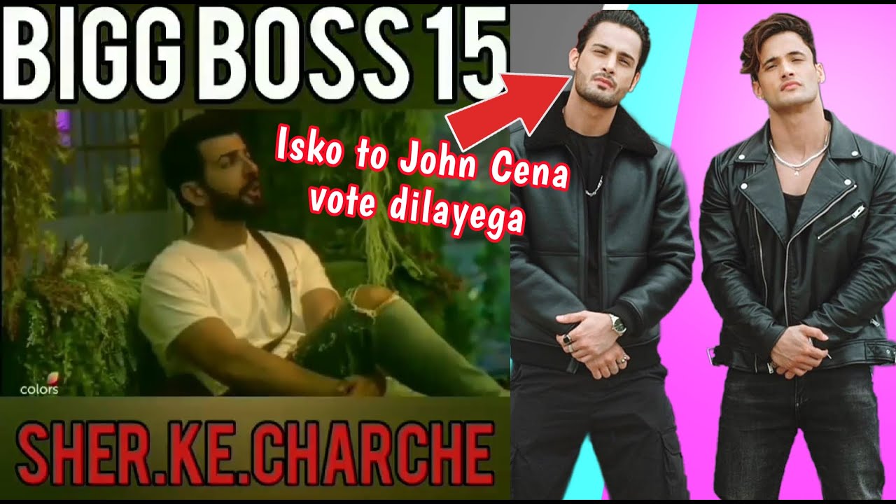 Bigg Boss 15 Contestants on Riaz Brothers - Asim and Umar