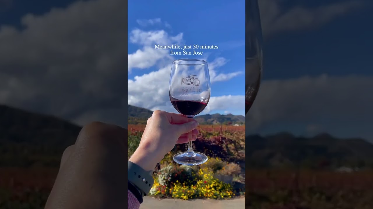 Wine Tasting 30 Minutes from San Jose | Morgan Hill, California