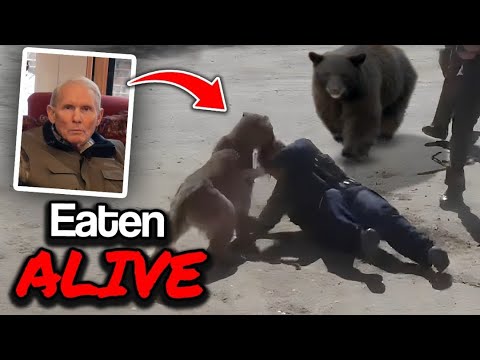 Video: Ali medved deluje na gorske leve?