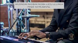 Akudingwa Nasibani / ungumhlobo wami uJesu / Bonke abakholwa nguye, itende instrumental worship