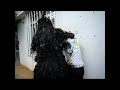 UNESCO Intangible Cultural Heritage.Muddy festival パーントゥプナハ