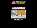 日テレ公式【仮装大賞】エサを運ぶアリ #shorts