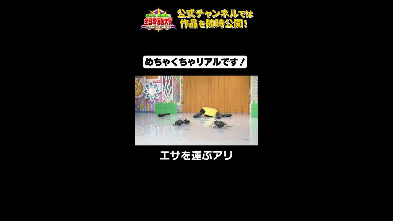 日テレ公式【仮装大賞】エサを運ぶアリ #shorts