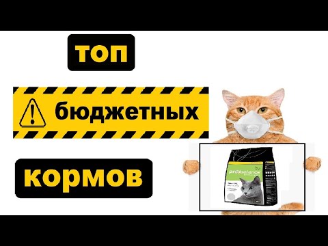 Бюджетные корма для кошек | Обзор | Чем кормить кошку и кота