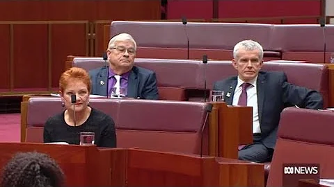 A-G George Brandis gives Pauline Hanson a dressing...