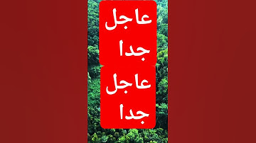 سورة المائدة - الآية 74 #اسلاميات #duet #تيك_توك #دينيه #دويتو #ترند #nature #اكسبلور