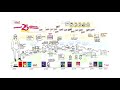 Illustrated 25year timeline of aha process history with voiceover by ruby payne ceo