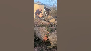 Stihl ms362c Simple Mods 25" Full Comp