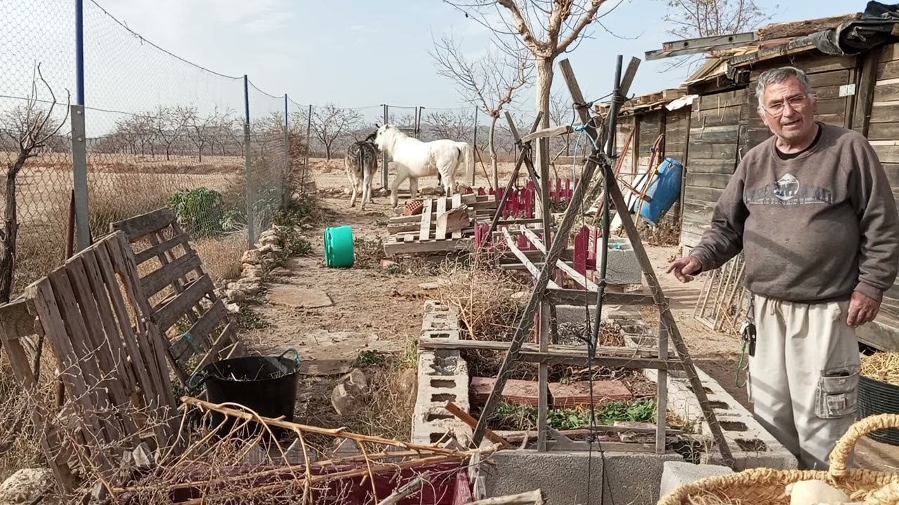 SEMILLERO CAMA CALIENTE