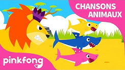 Hqdefault Jpg Sqp Oaymwejcpybeiobsfryq4qpaxuiaruaaaaagaelaadiqj0agkjdeae Rs Aon4cla2vvdwhjp2aaafyr3po2qg3shjhg