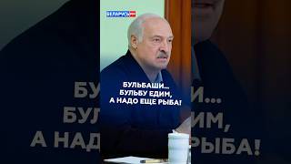 Лукашенко: бульбаши… Бульбу едим, а надо еще рыба! #беларусь #лукашенко #батька #новости #политика