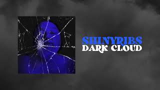 Shinyribs - Dark Cloud [Official Audio]