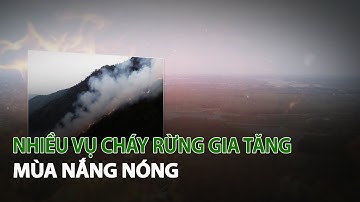 Nhiều vụ Cháy Rừng gia tăng mùa Nắng Nóng| VTC14