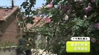 20170904 地理中国 圩中的奥秘