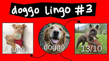 Doggo Chart - Part 3