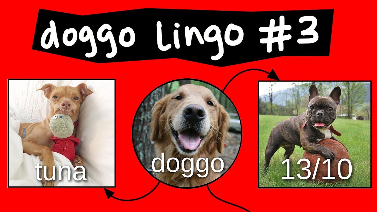 The Doggo Chart