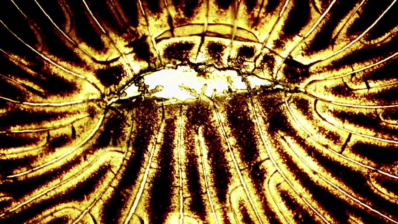 Caught on camera: engineering in action