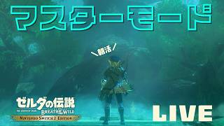 Switch ゼルダの伝説(ティアキン ブレワイ) マリオワンダー モンハン ゼルダの伝説 ティアーズ オブ ザ キングダムSwitch 大空へ