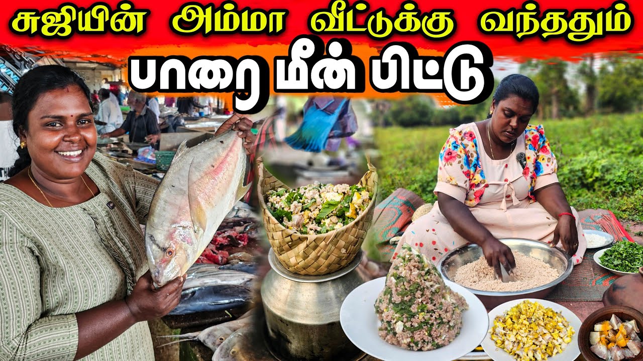 3 கிலோ பாரைமீனை வச்சு சுடச்சுட மீன் பிட்டு | Our Village life ♥️ | vanni vlog