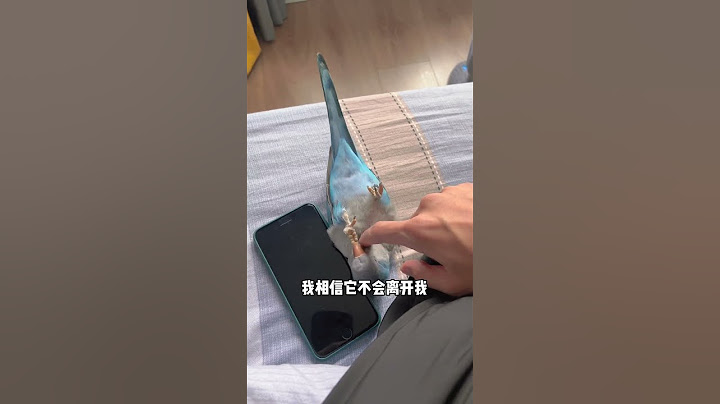 可爱到想一口吃掉它#鹦鹉#萌宠#宠物#动物#animals#cute#funny