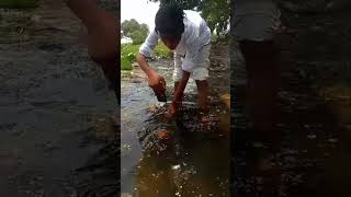#loatus 🌷water 🌊 #creative shorts|viral editing|#videography #video 📷📸|#shorts |#photography