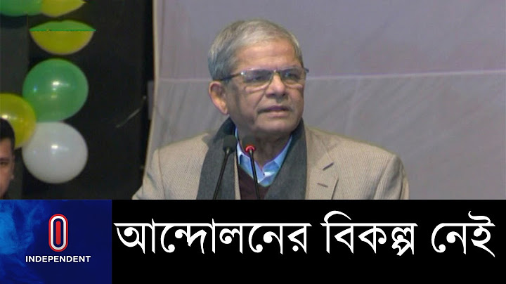 আওয়ামী লীগ ক্ষমতায় এসে গণতন্ত্রকে হরণ করেছে || BNP
