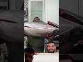 #funny #cooking #food #video #entertainment #challenge #comedy #shorts #reels #viral #trending