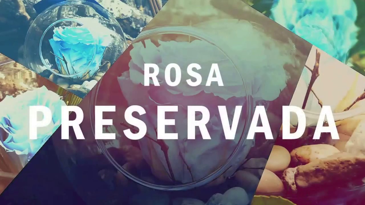 El Salvador-Rosa Preservada - YouTube