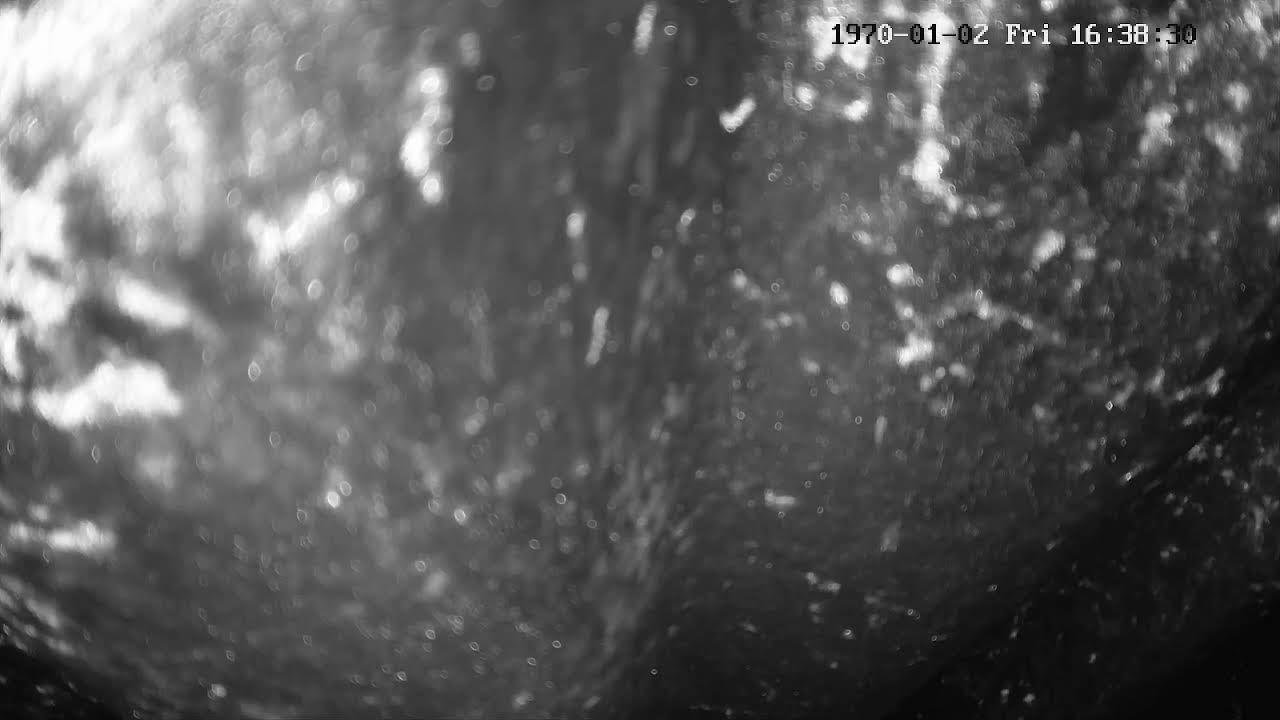 Shri Kali Mata Mandir Kalka Live