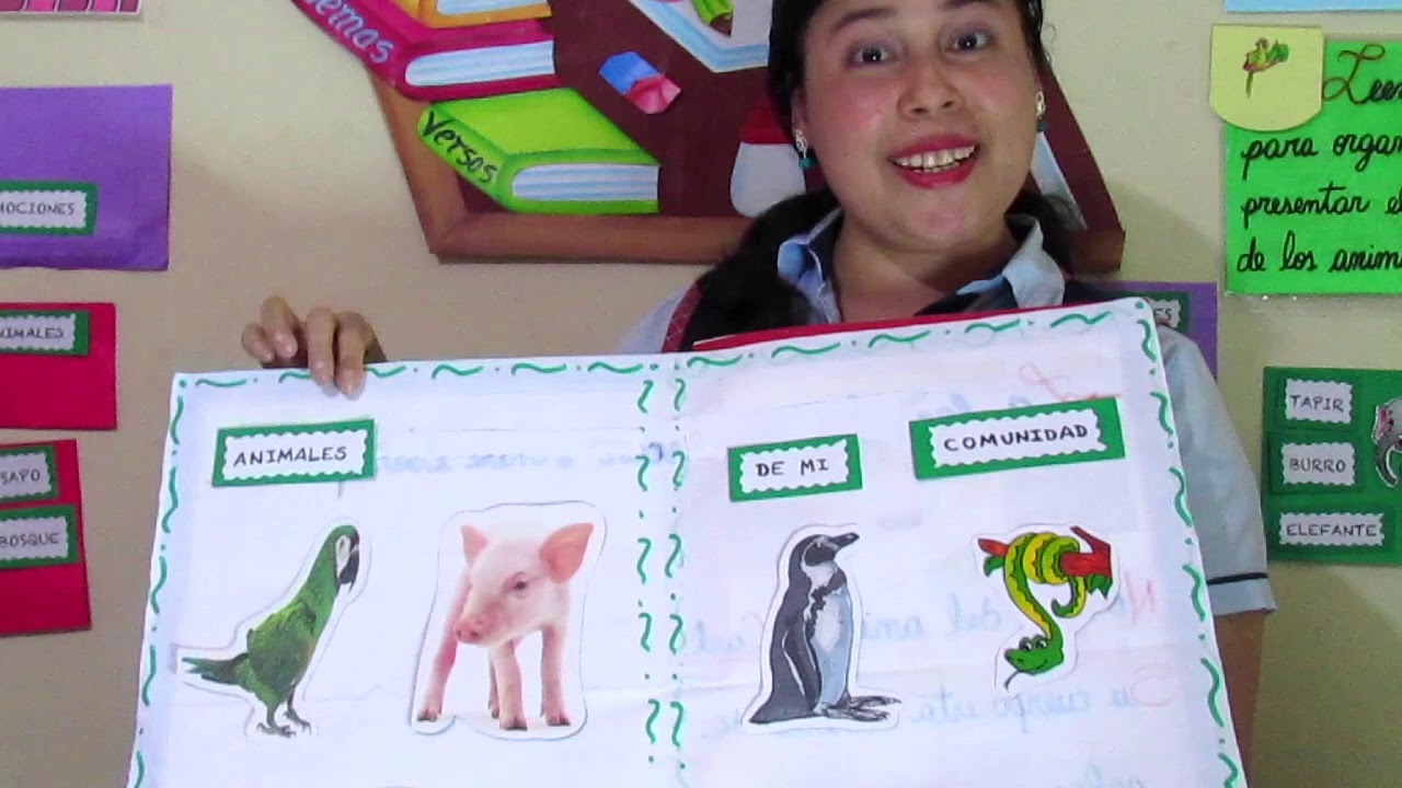 Leemos títulos para organizar y presentar el álbum de los animales
