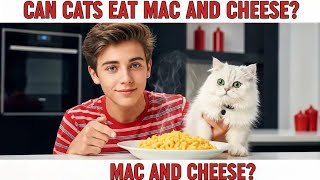 can cats eat mac and cheese