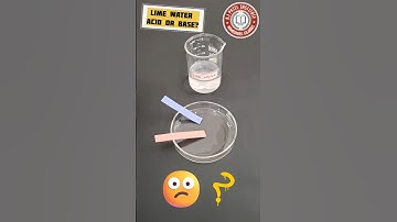 Lime Water Litmus Test 🧪 | Acid or Base? #shorts #science #chemistry #scienceexperiment #experiment