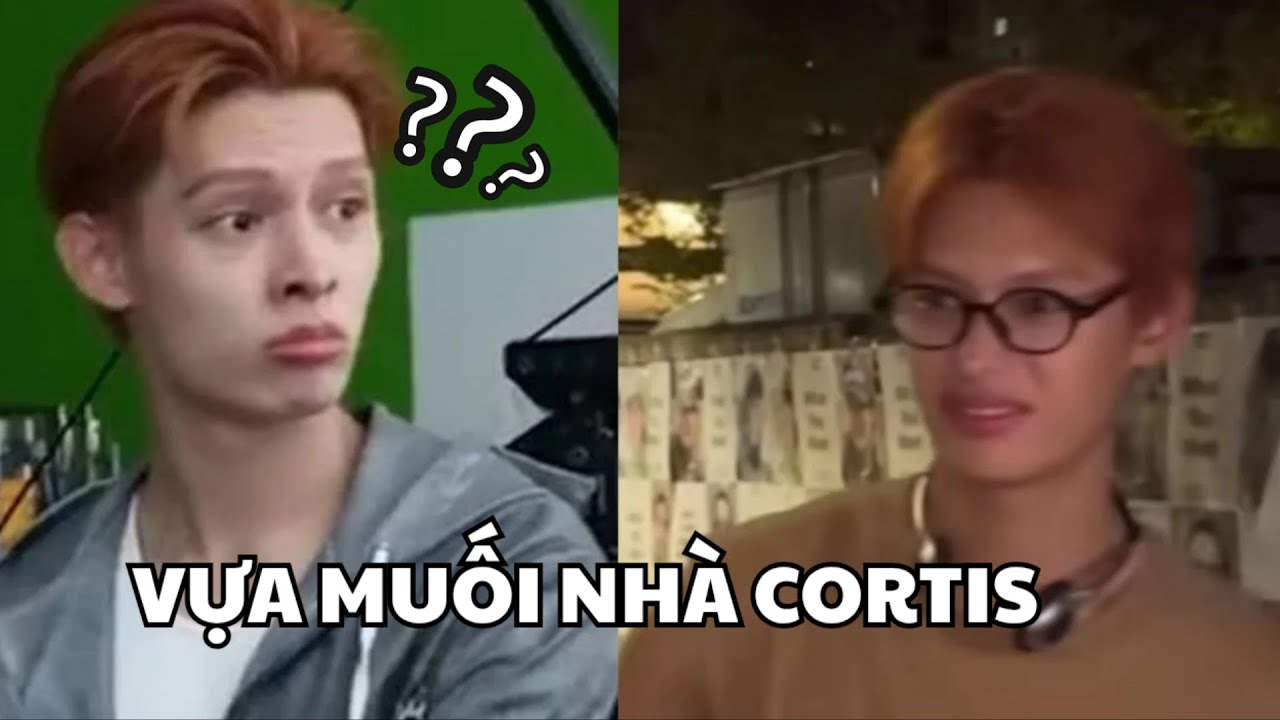 CORTIS FUNNY MOMENT #2 | VỰA MUỐI NHÀ CORTIS