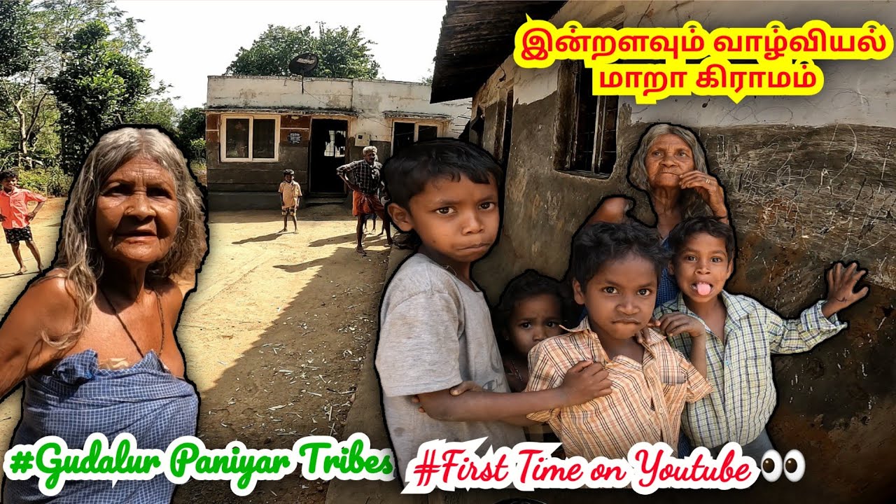 பனியர் பழங்குடிகள் வாழும் அழகிய மலைவாழ் கிராமம்  