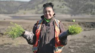 Yurok Tribe Plants 85 Tons Of Native Seed In Klamath Reservoirs