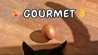 The secret magic of a boiled egg.😜🐈‍⬛ by Unusual stories of a black cat 1,004 views 1 month ago 1 minute, 55 seconds