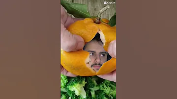 صوت صفير البلبل بدون موسيقى 