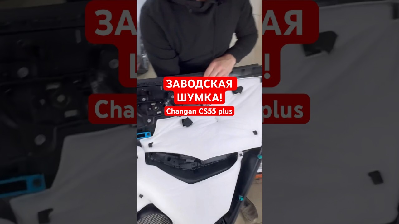 Заводская Шумка Changan CS55 plus 
