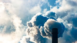 Liberal MP Falinski urges Coalition government to update emissions target