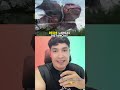 Jutsu de invocación ¡Invoca criaturas y objetos! #naruto #animeshorts #crunchyroll